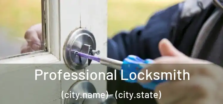 Professional Locksmith (city.name) - (city.state)